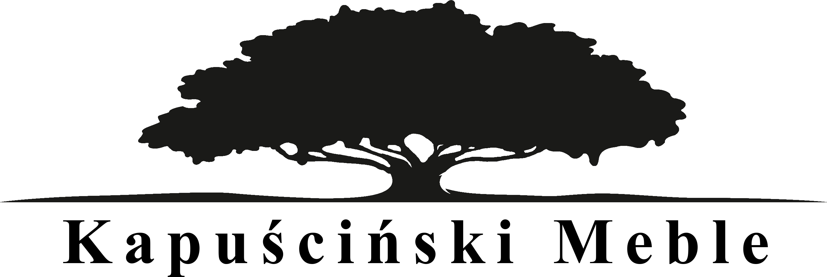 Kapuściński Meble